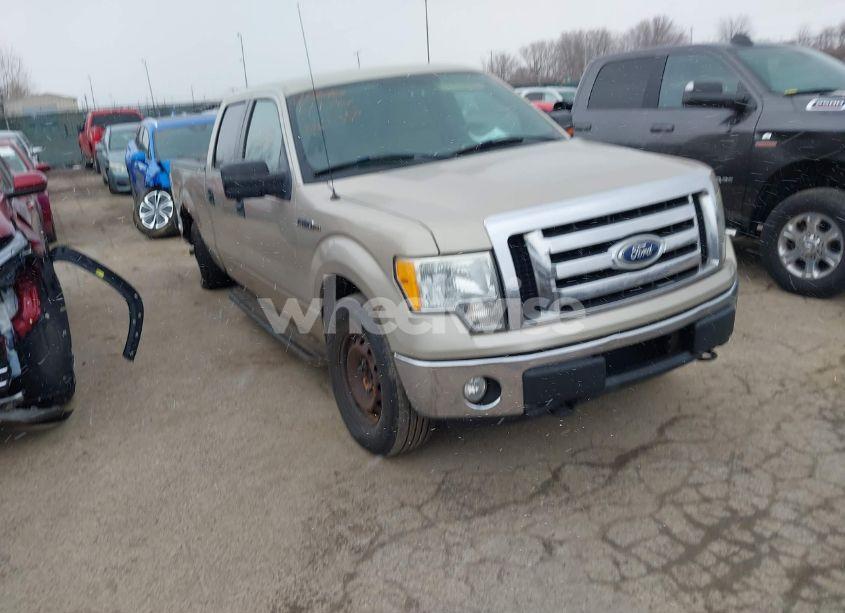 2010 Ford F-150 XL/XLT (VIN 1FTFW1E85AFD86149) main photo