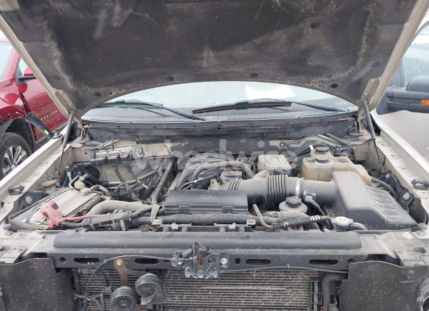 Photo 10 of 2010 Ford F-150 XL/XLT (VIN 1FTFW1E85AFD86149)