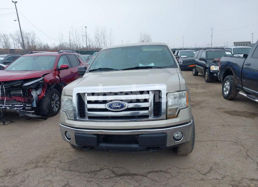 Photo 12 of 2010 Ford F-150 XL/XLT (VIN 1FTFW1E85AFD86149)