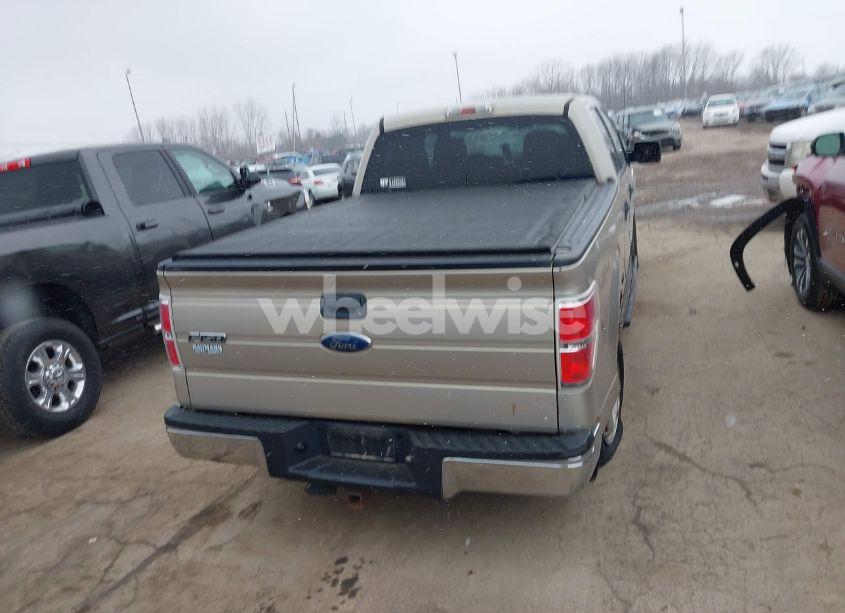 Photo 16 of 2010 Ford F-150 XL/XLT (VIN 1FTFW1E85AFD86149)