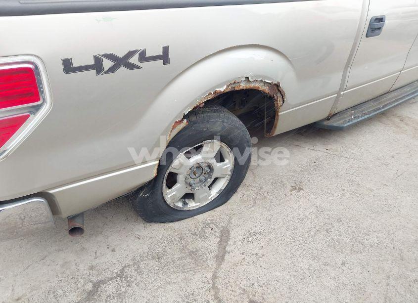 Photo 6 of 2010 Ford F-150 XL/XLT (VIN 1FTFW1E85AFD86149)