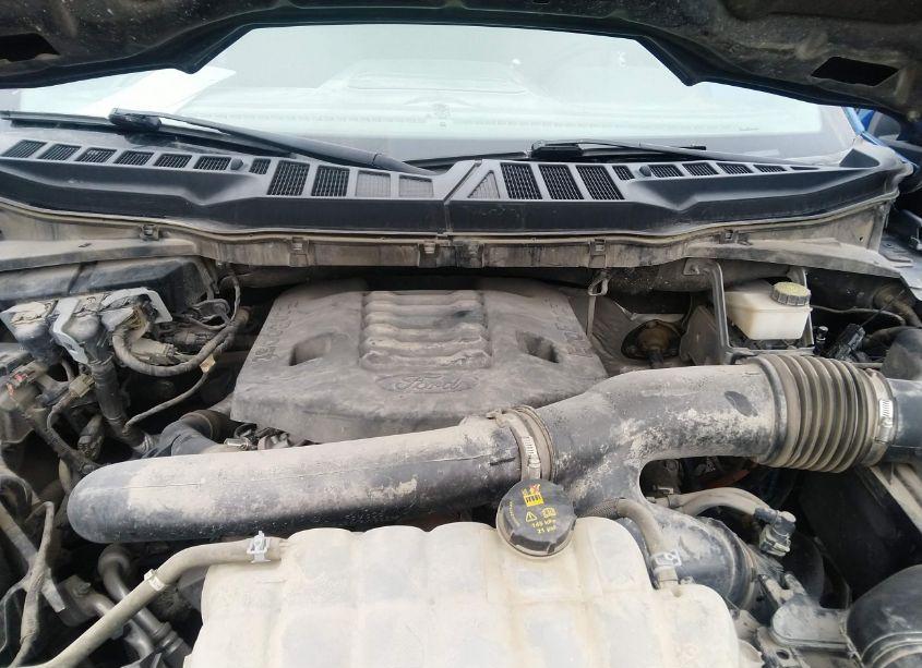 Photo 10 of 2022 Ford F-150 XLT (VIN 1FTFW1E85NKD82681)