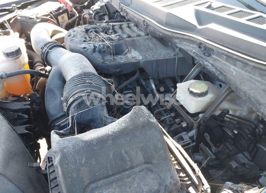 Photo 6 of 2023 Ford F-150 XLT (VIN 1FTFW1E85PFA92386)