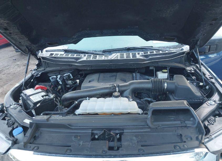 Photo 10 of 2023 Ford F-150 XLT (VIN 1FTFW1E85PKF30377)