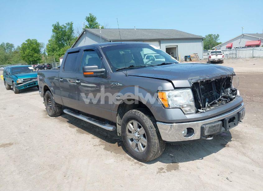 2010 Ford F-150 XL/XLT (VIN 1FTFW1E86AFC82950) main photo