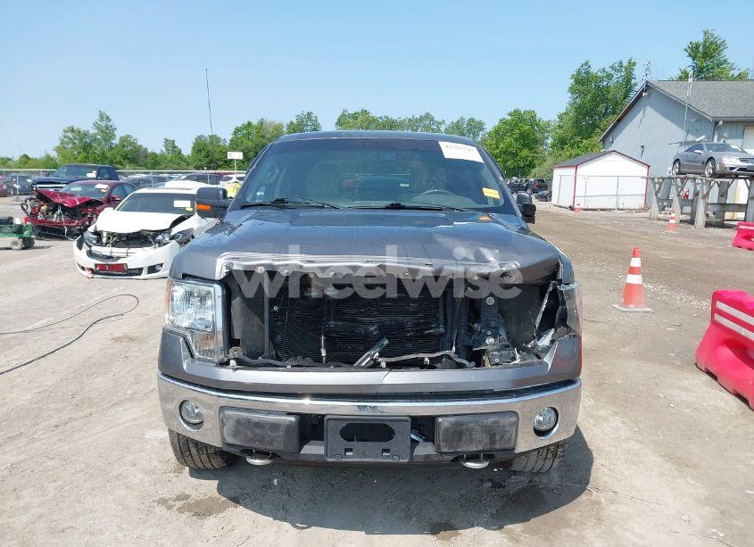 Photo 12 of 2010 Ford F-150 XL/XLT (VIN 1FTFW1E86AFC82950)