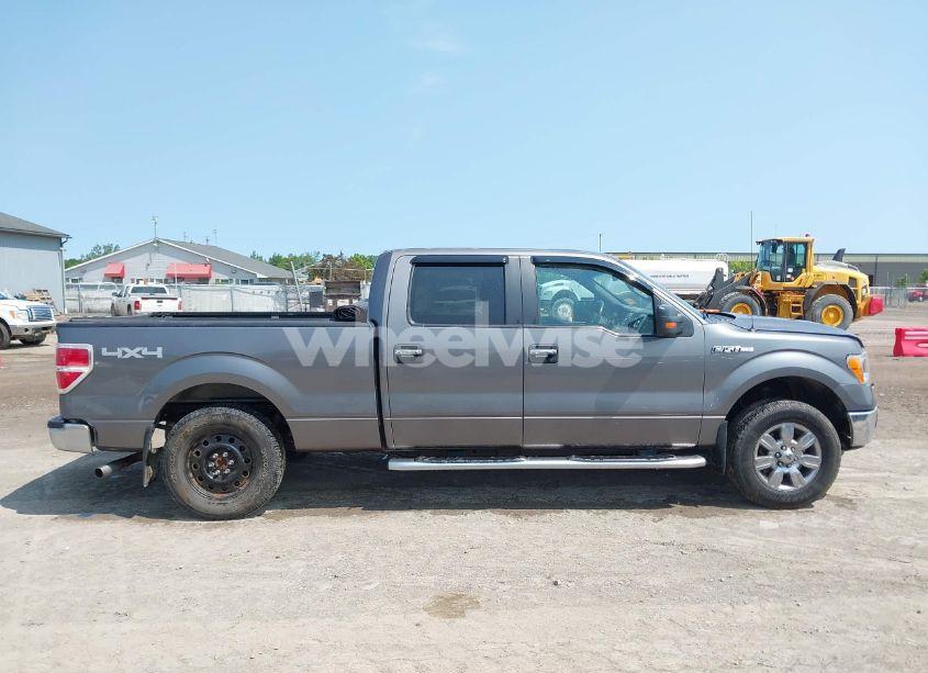 Photo 13 of 2010 Ford F-150 XL/XLT (VIN 1FTFW1E86AFC82950)