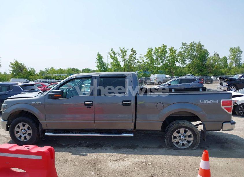Photo 14 of 2010 Ford F-150 XL/XLT (VIN 1FTFW1E86AFC82950)