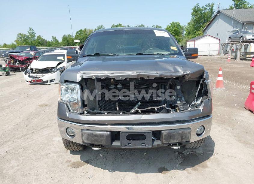 Photo 6 of 2010 Ford F-150 XL/XLT (VIN 1FTFW1E86AFC82950)