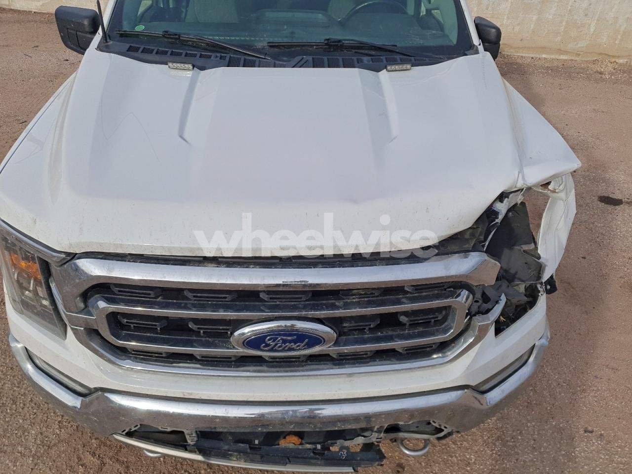 Photo 11 of 2021 FORD F150 SUPERCREW (VIN 1FTFW1E86MFC33381)