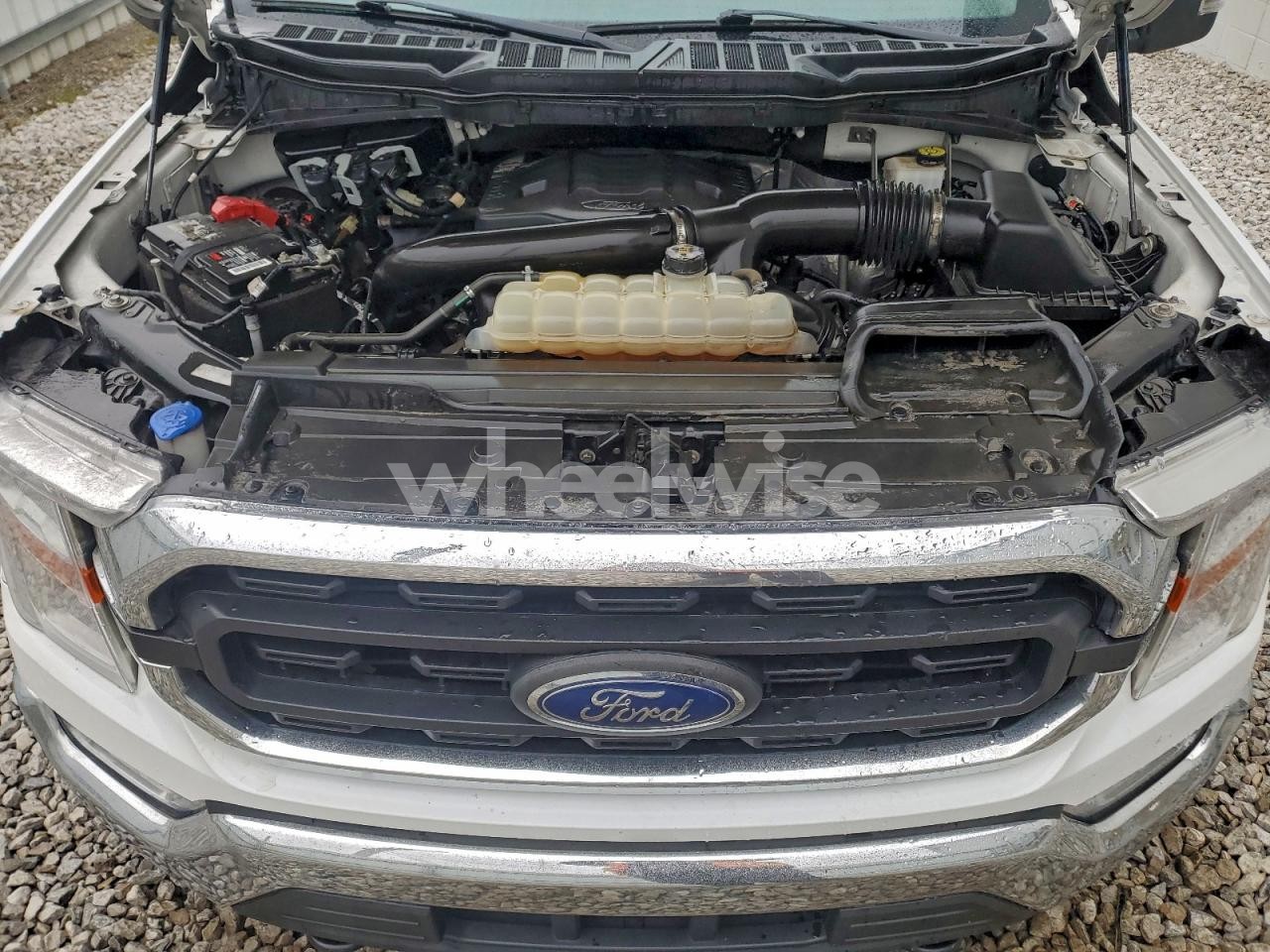 Photo 11 of 2021 FORD F150 SUPERCREW (VIN 1FTFW1E86MKE57242)