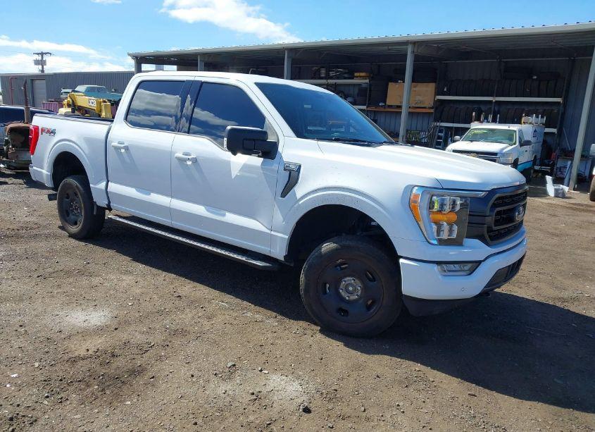 2022 Ford F-150 XLT (VIN 1FTFW1E86NFA29648) main photo