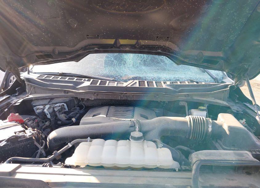 Photo 10 of 2022 Ford F-150 XLT (VIN 1FTFW1E86NKD41024)