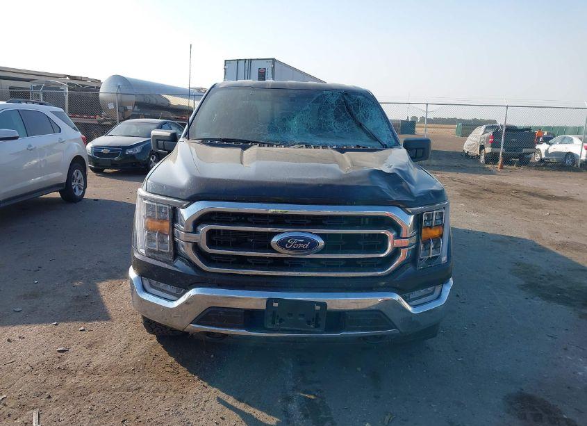 Photo 12 of 2022 Ford F-150 XLT (VIN 1FTFW1E86NKD41024)