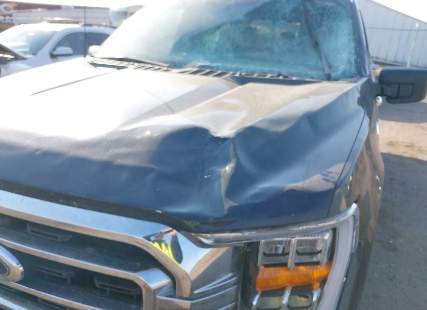 Photo 6 of 2022 Ford F-150 XLT (VIN 1FTFW1E86NKD41024)