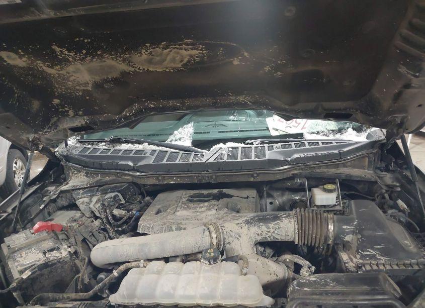 Photo 10 of 2022 Ford F-150 XLT (VIN 1FTFW1E86NKE10228)