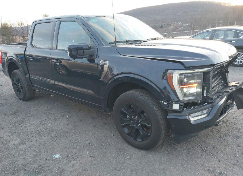 2023 Ford F-150 PLATINUM (VIN 1FTFW1E87PFB14176) main photo