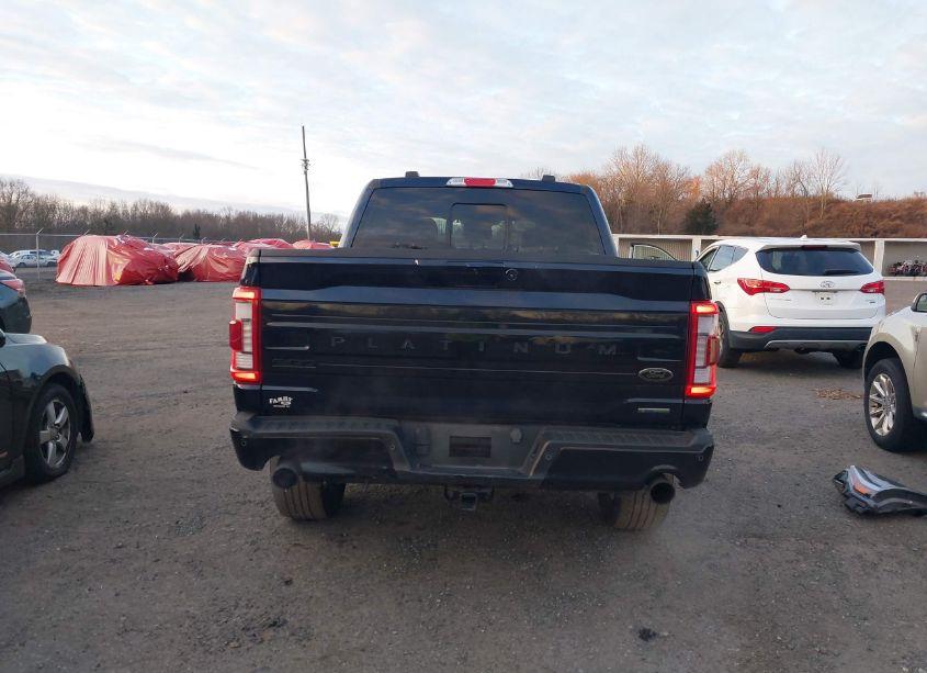 Photo 17 of 2023 Ford F-150 PLATINUM (VIN 1FTFW1E87PFB14176)