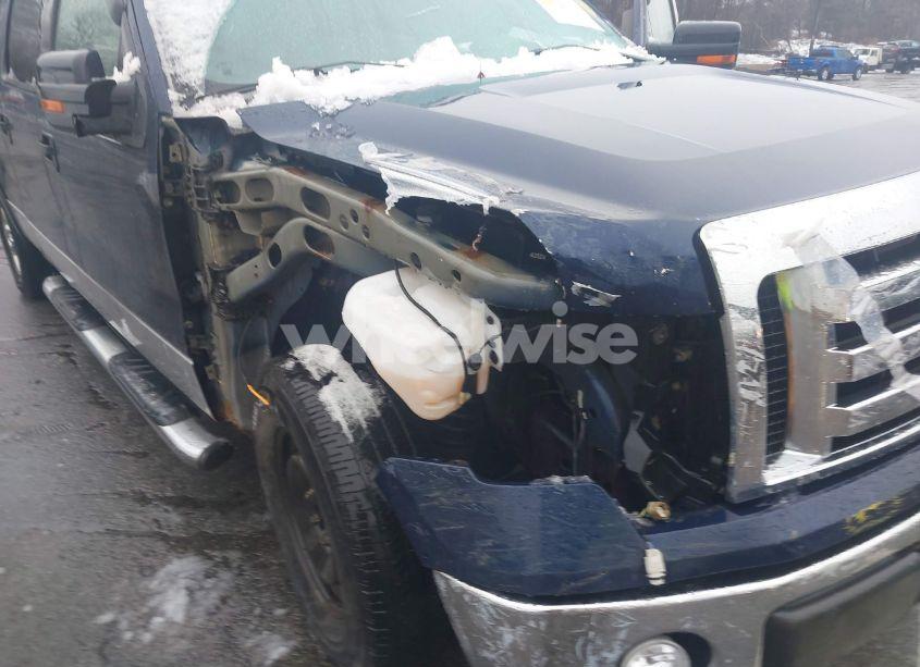 Photo 6 of 2010 Ford F-150 XL/XLT (VIN 1FTFW1E88AFA84600)