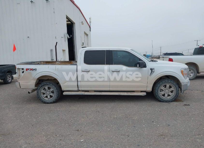 Photo 13 of 2021 Ford F-150 XLT (VIN 1FTFW1E88MFC64728)