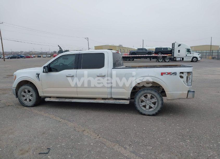 Photo 14 of 2021 Ford F-150 XLT (VIN 1FTFW1E88MFC64728)