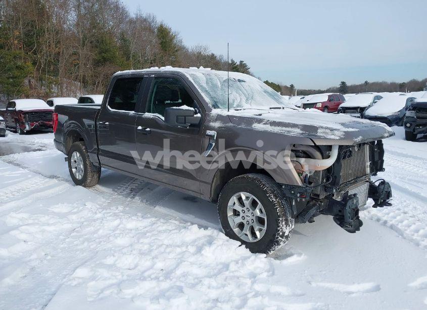 2023 Ford F-150 XLT (VIN 1FTFW1E88PFC63969) main photo