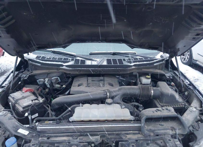 Photo 10 of 2023 Ford F-150 XLT (VIN 1FTFW1E88PKE14509)