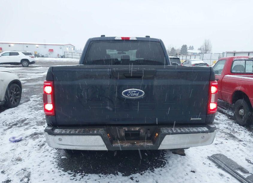 Photo 17 of 2023 Ford F-150 XLT (VIN 1FTFW1E88PKE14509)