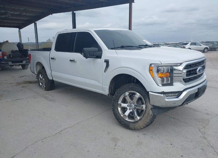 2021 Ford F-150 XLT (VIN 1FTFW1E89MKD64151) main photo