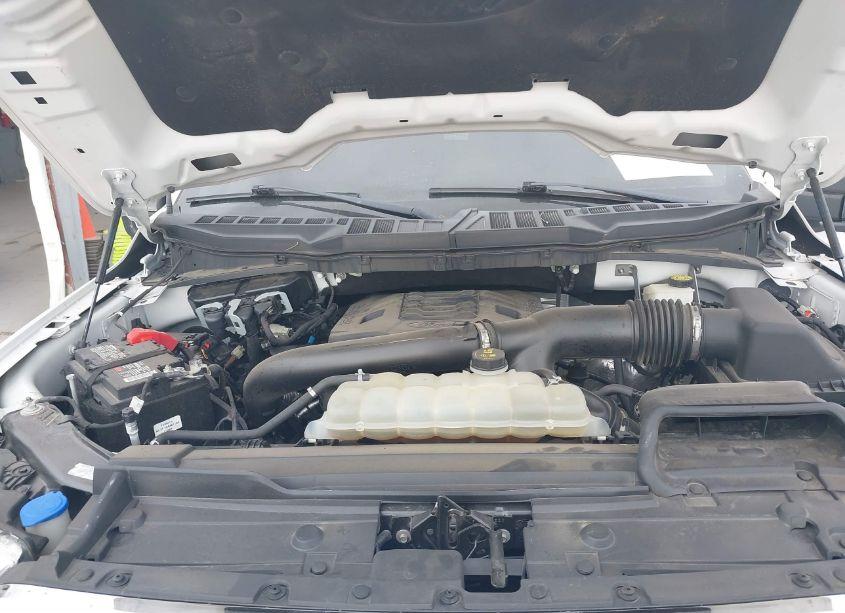 Photo 10 of 2021 Ford F-150 XLT (VIN 1FTFW1E89MKD64151)