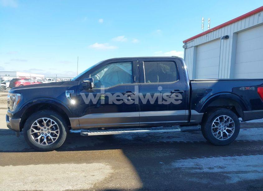 Photo 14 of 2023 Ford F-150 KING RANCH (VIN 1FTFW1E89PFA86509)