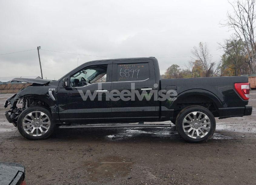 Photo 14 of 2021 Ford F-150 LIMITED (VIN 1FTFW1E8XMFA86899)
