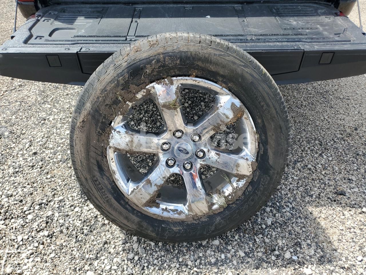 Photo 12 of 2023 FORD F150 SUPERCREW (VIN 1FTFW1E8XPKE48175)