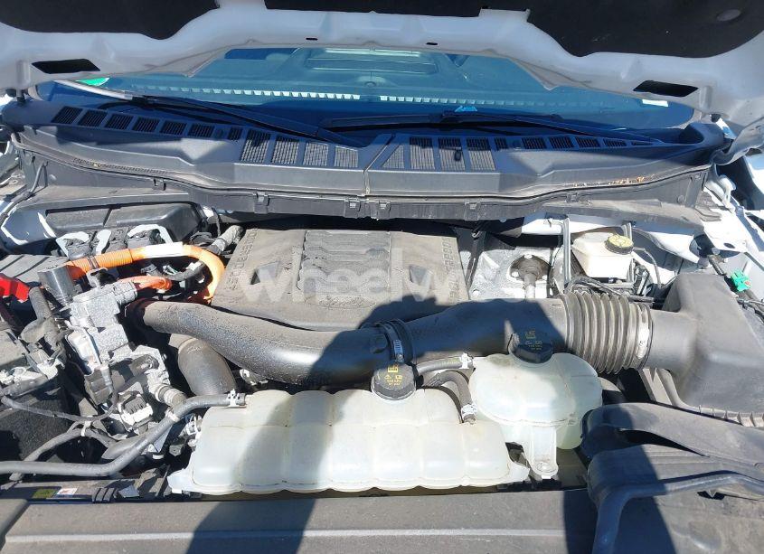 Photo 10 of 2023 Ford F-150 XLT (VIN 1FTFW1ED0PFA18306)