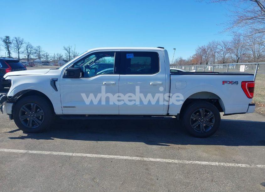 Photo 14 of 2023 Ford F-150 XLT (VIN 1FTFW1ED0PFA18306)
