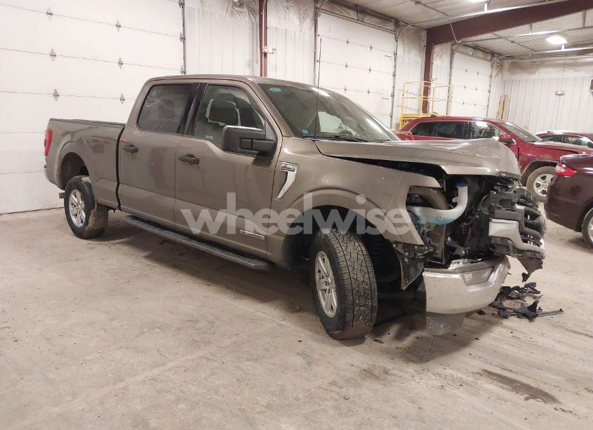 2023 Ford F-150 XLT (VIN 1FTFW1ED0PFC08753) main photo