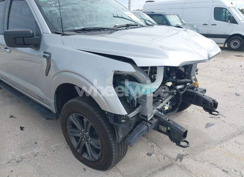 Photo 19 of 2023 Ford F-150 XLT (VIN 1FTFW1ED0PFC75112)