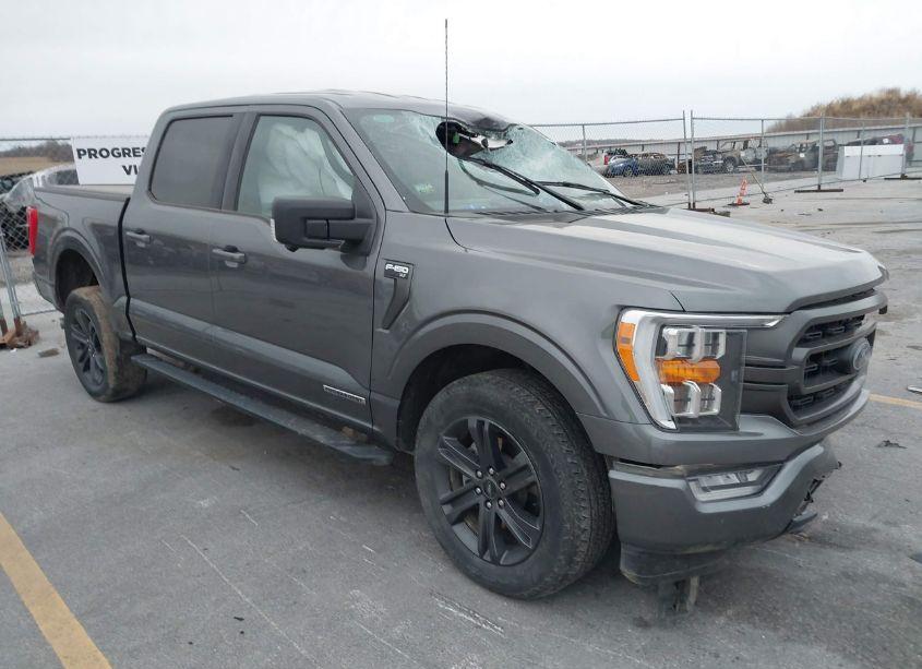 2023 Ford F-150 XLT (VIN 1FTFW1ED1PFA94598) main photo