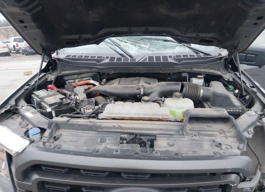 Photo 10 of 2023 Ford F-150 XLT (VIN 1FTFW1ED1PFA94598)