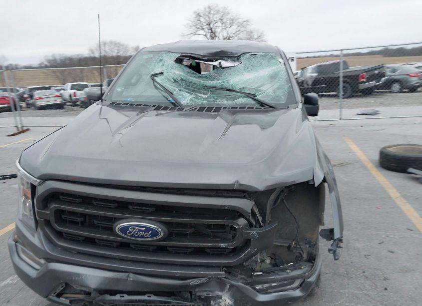 Photo 12 of 2023 Ford F-150 XLT (VIN 1FTFW1ED1PFA94598)