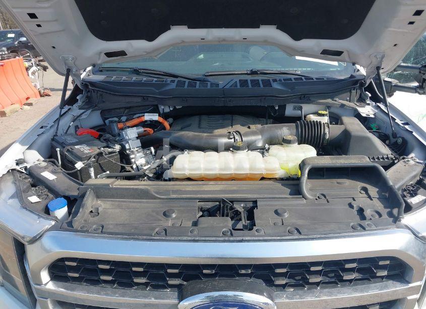 Photo 10 of 2023 Ford F-150 PLATINUM (VIN 1FTFW1ED1PFB34792)