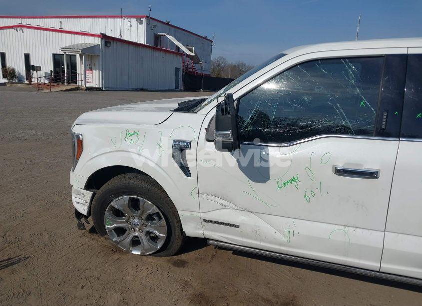 Photo 6 of 2023 Ford F-150 PLATINUM (VIN 1FTFW1ED1PFB34792)