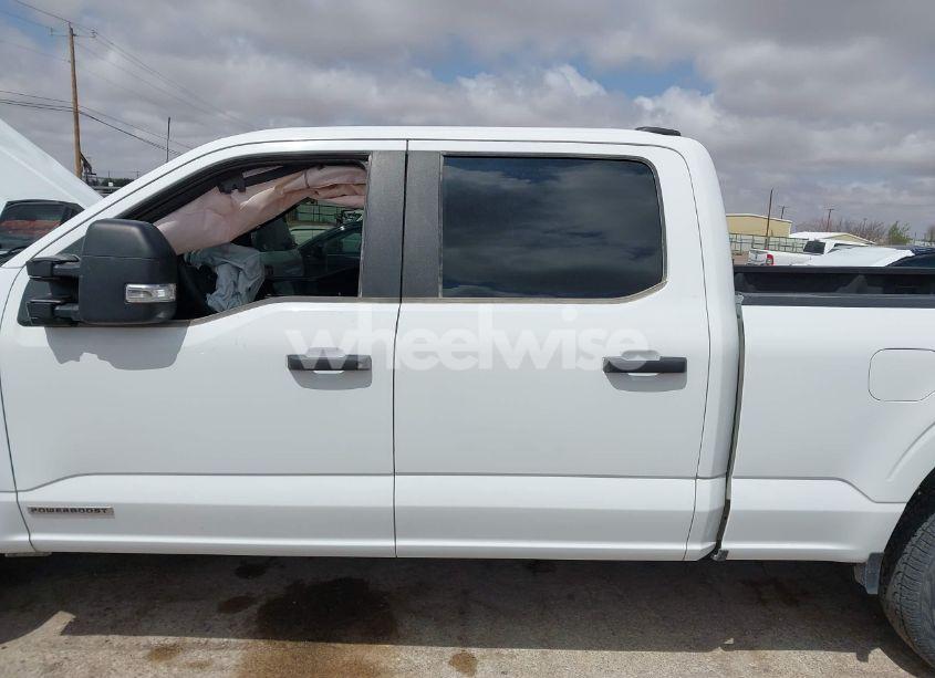 Photo 14 of 2023 Ford F-150 XL (VIN 1FTFW1ED1PFC43060)
