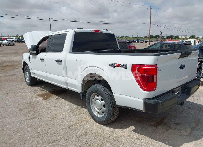 Photo 3 of 2023 Ford F-150 XL (VIN 1FTFW1ED1PFC43060)