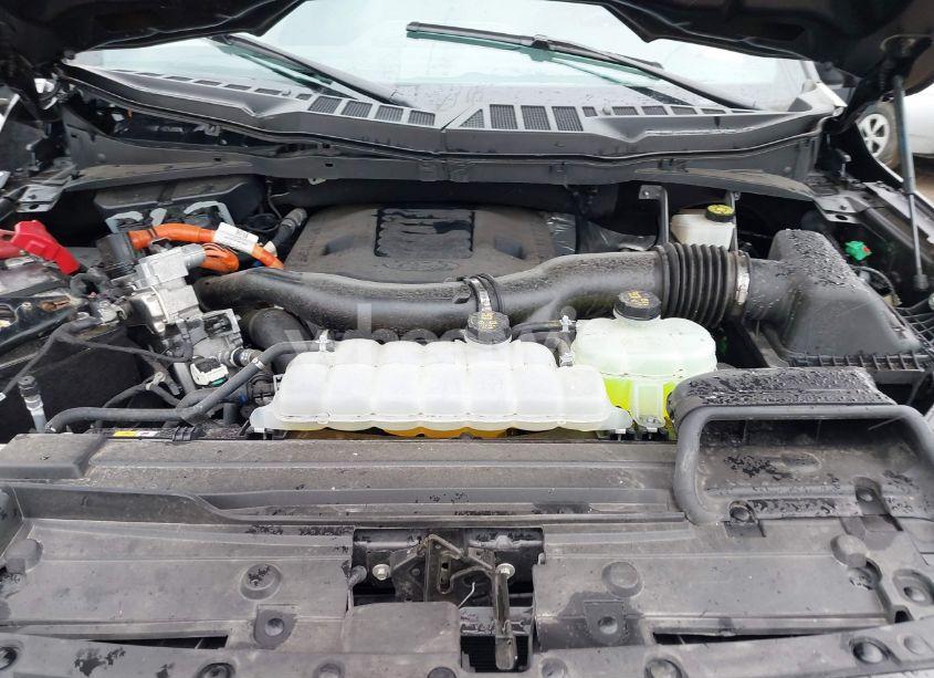 Photo 10 of 2023 Ford F-150 XLT (VIN 1FTFW1ED1PFC74602)