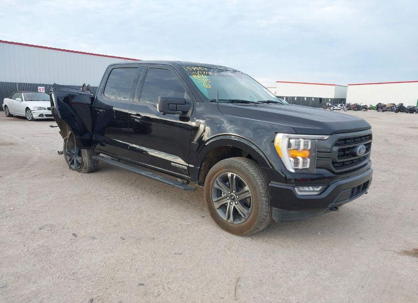2023 Ford F-150 XLT (VIN 1FTFW1ED1PFD08781) main photo