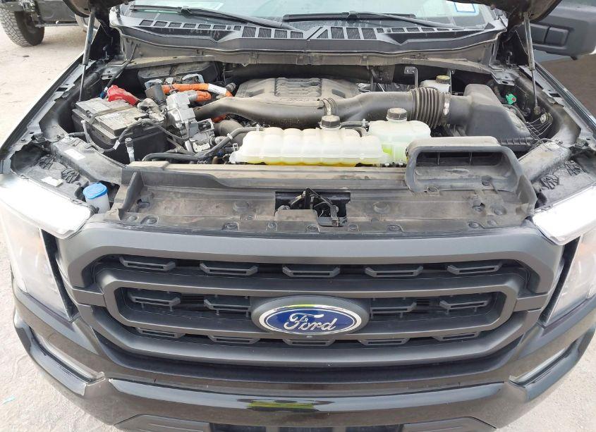 Photo 10 of 2023 Ford F-150 XLT (VIN 1FTFW1ED1PFD08781)