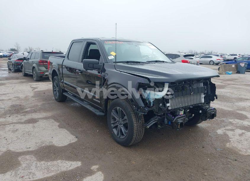 2023 Ford F-150 XLT (VIN 1FTFW1ED2PFD07879) main photo