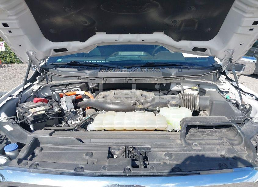 Photo 10 of 2021 Ford F-150 KING RANCH (VIN 1FTFW1ED3MFB52075)