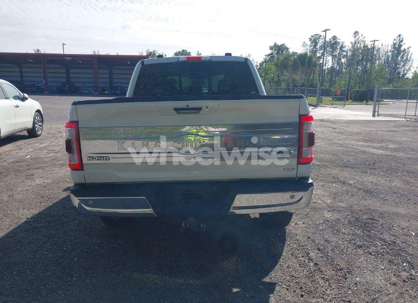 Photo 16 of 2021 Ford F-150 KING RANCH (VIN 1FTFW1ED3MFB52075)
